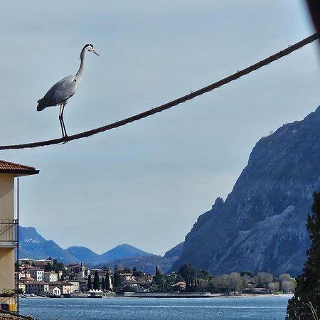 L'Airone - Casa Vacanza Mandello del Lario Exterior photo