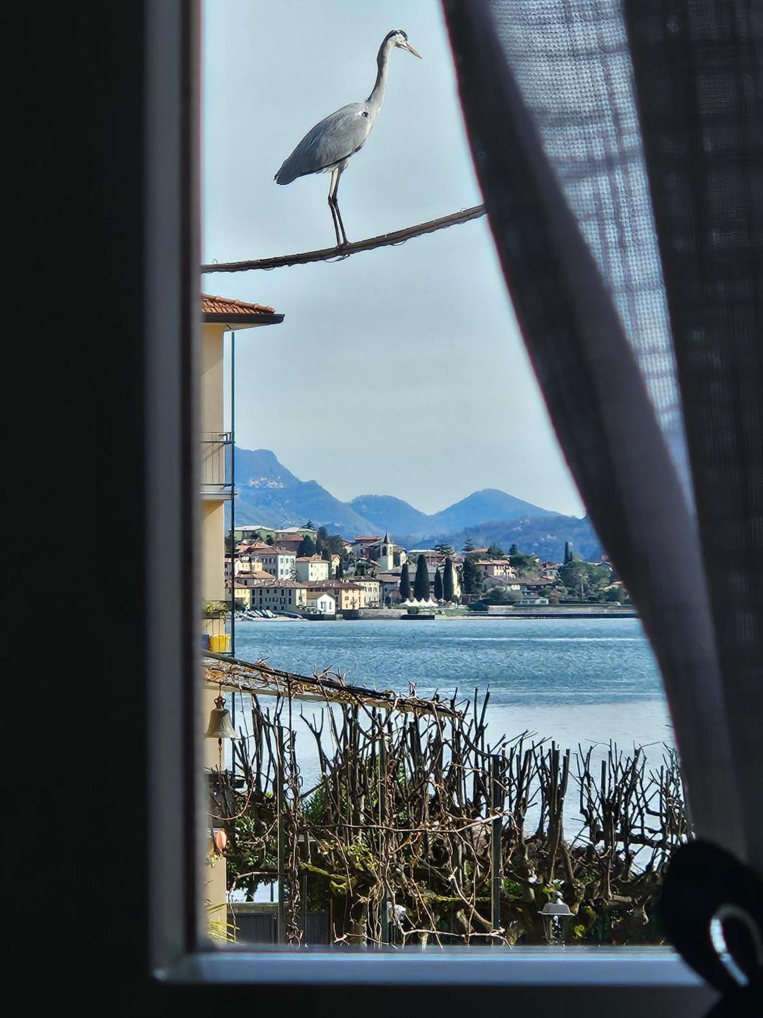 L'Airone - Casa Vacanza Mandello del Lario Exterior photo