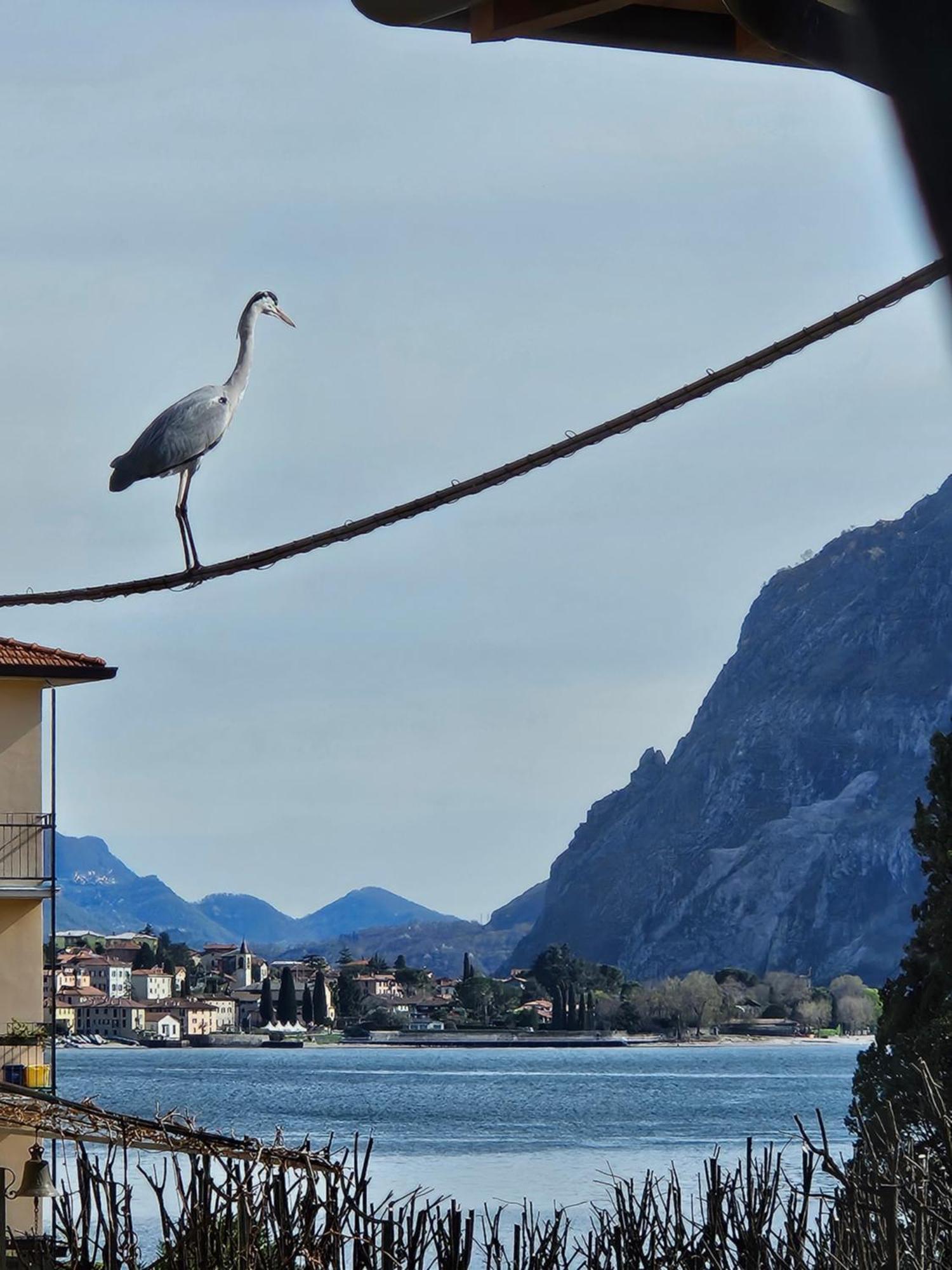 L'Airone - Casa Vacanza Mandello del Lario Exterior photo